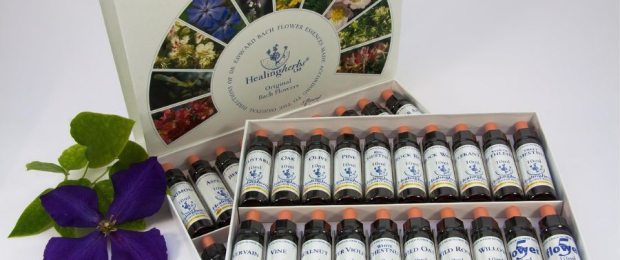 Bach Flower Remedies: Emotional Healing &amp; Balance